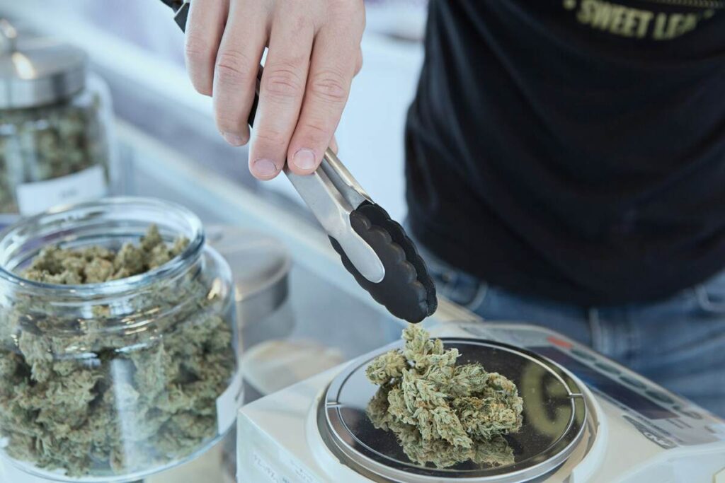 Discover the Wonders of THCA Flower: A Comprehensive Guide [2024 Update]