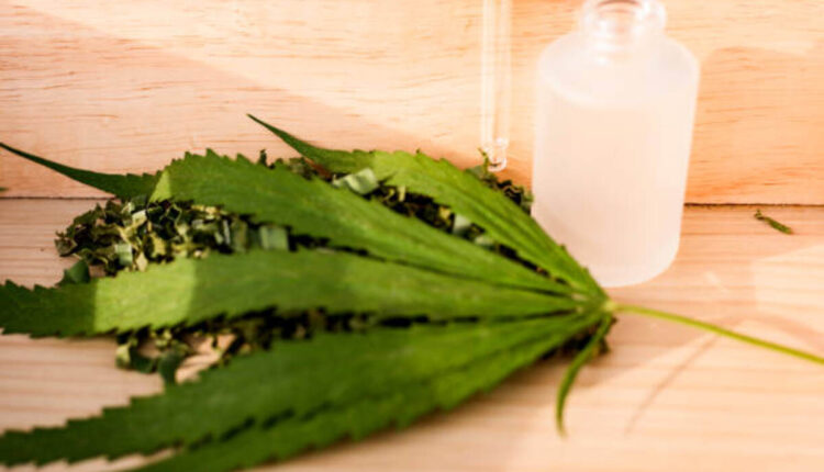 Greatest Online Vendors for Good quality Kratom